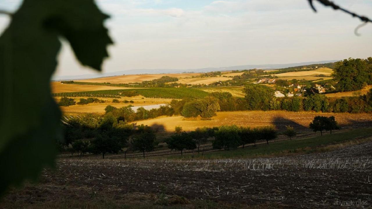 Ubytovani V Hovoranech Hovorany Buitenkant foto